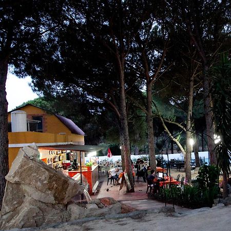 Camping Vejer Vejer de la Frontera Luaran gambar