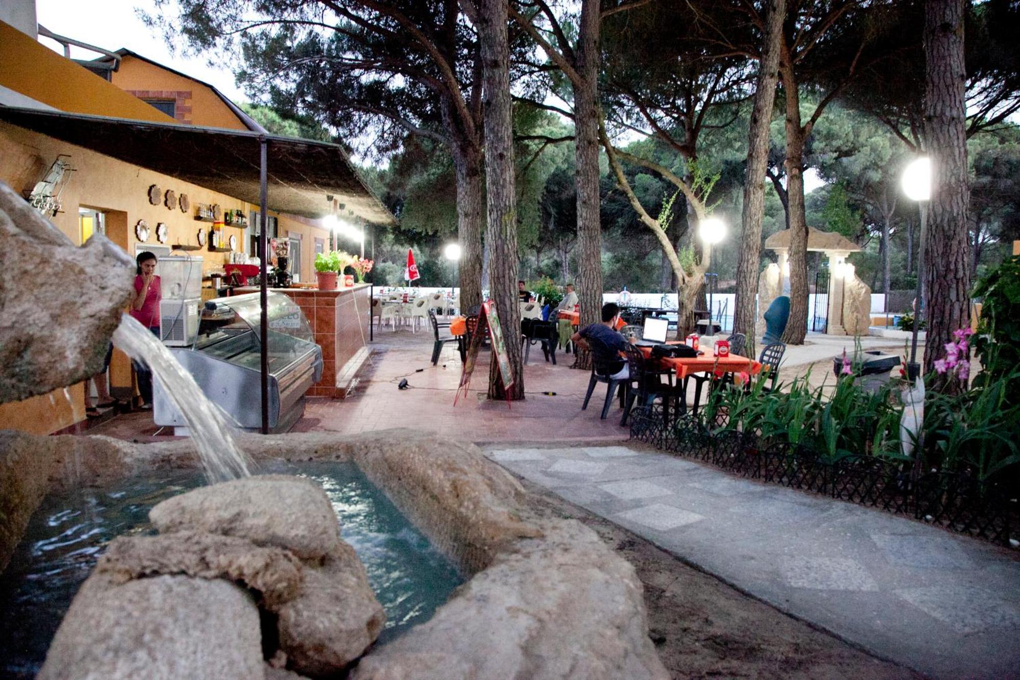 Camping Vejer Vejer de la Frontera Luaran gambar